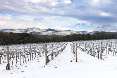 Invierno Florencia