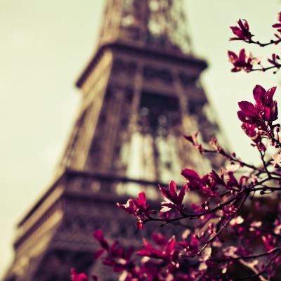 Paris France Attractions: Eiffel Tower Tour
