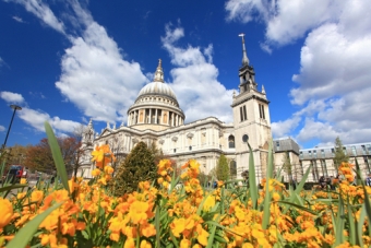 Summer in London